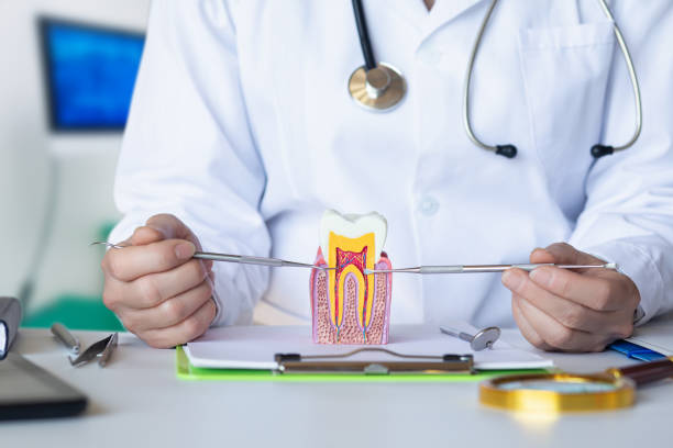 Best Emergency Dentist for Knocked-Out Tooth in Astor, FL